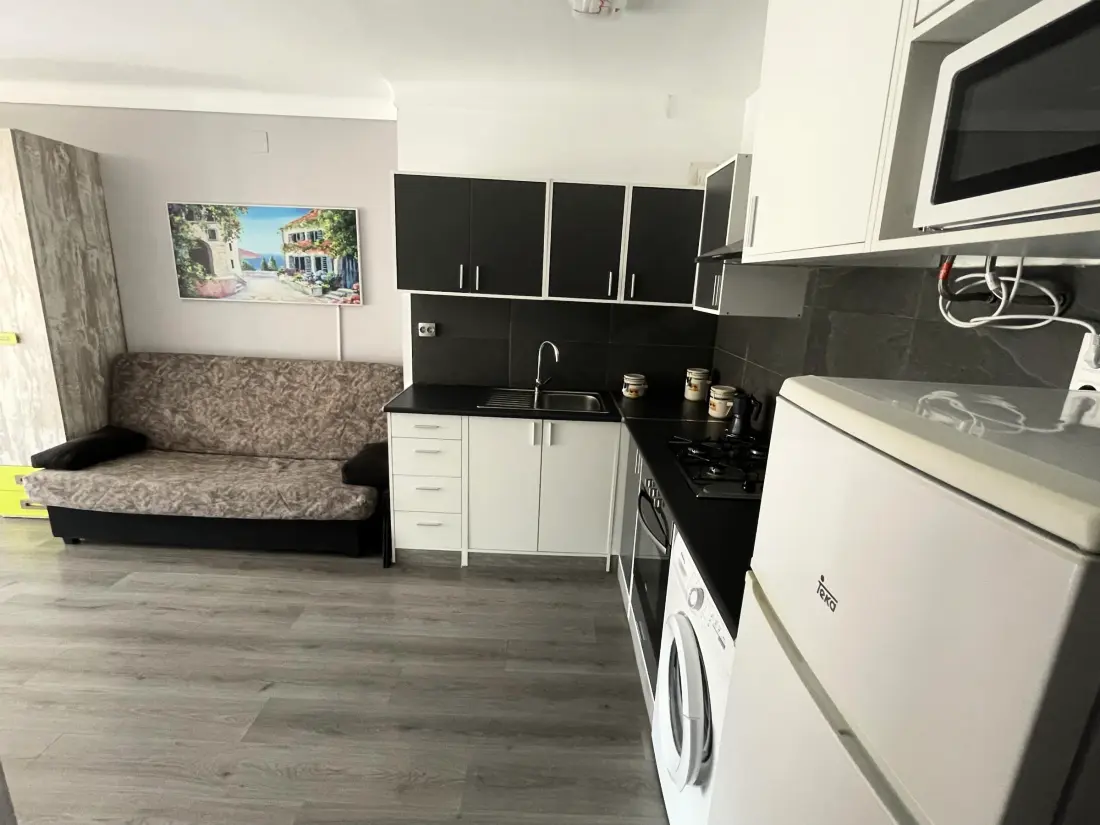 Location de Vacances Roses 382