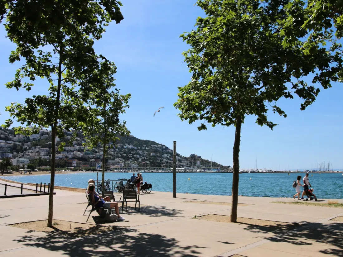 Location de Vacances Roses 382