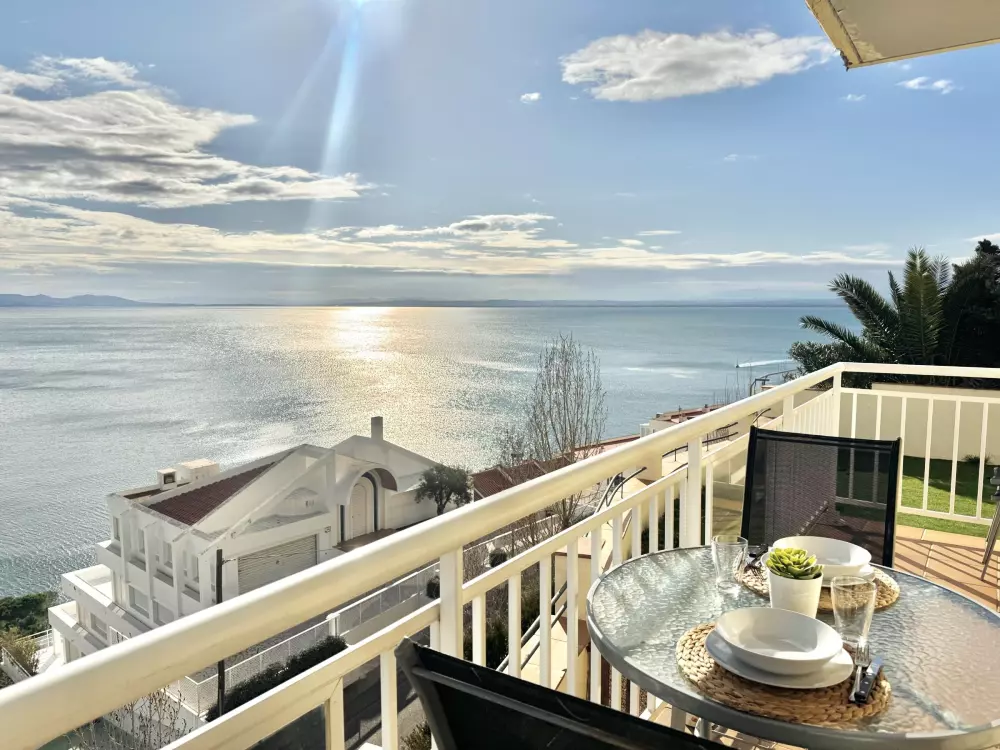 Location de Vacances Roses 383