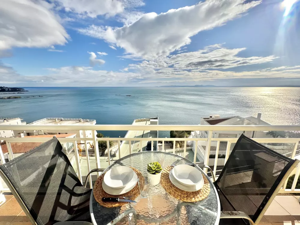 Location de Vacances Roses 383