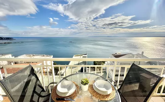 Location de Vacances Roses 383