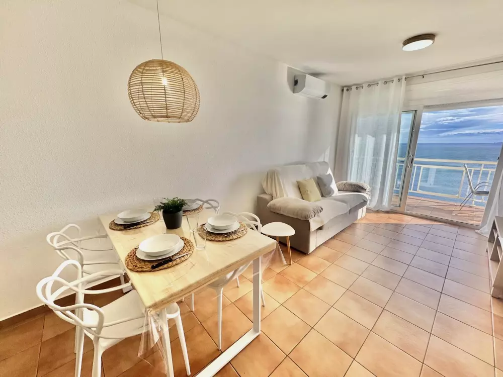 Location de Vacances Roses 383