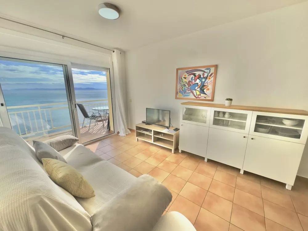 Location de Vacances Roses 383