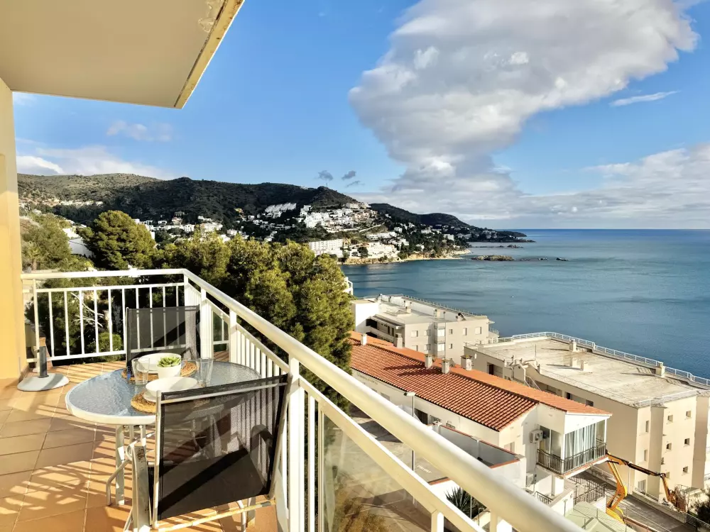 Location de Vacances Roses 383