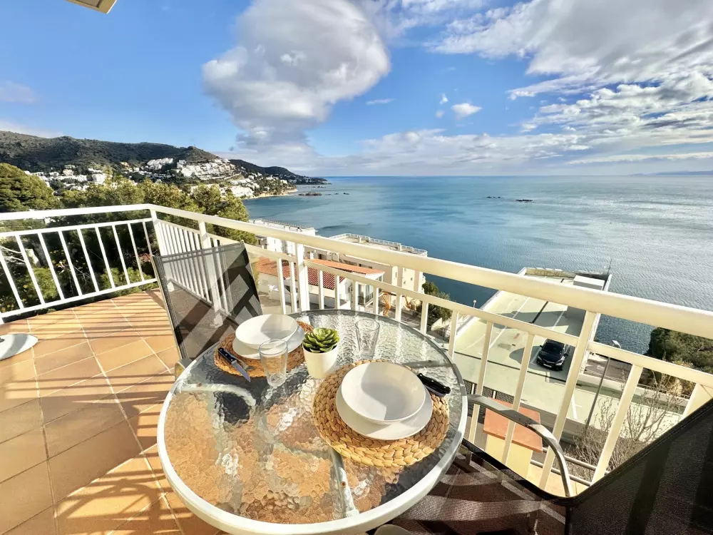 Location de Vacances Roses 383