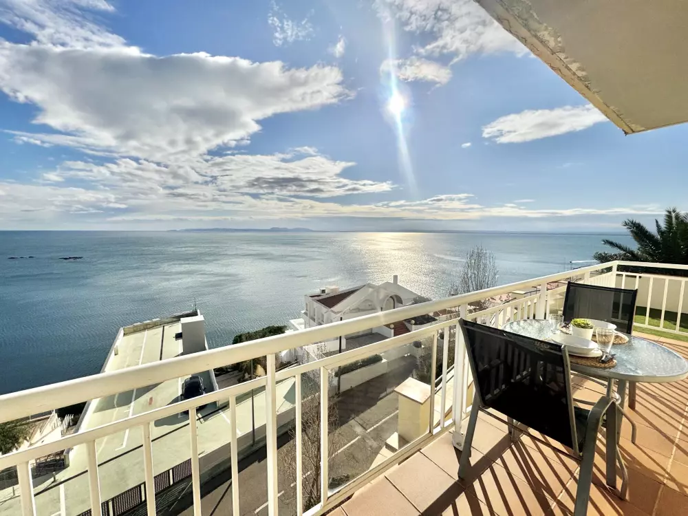 Location de Vacances Roses 383