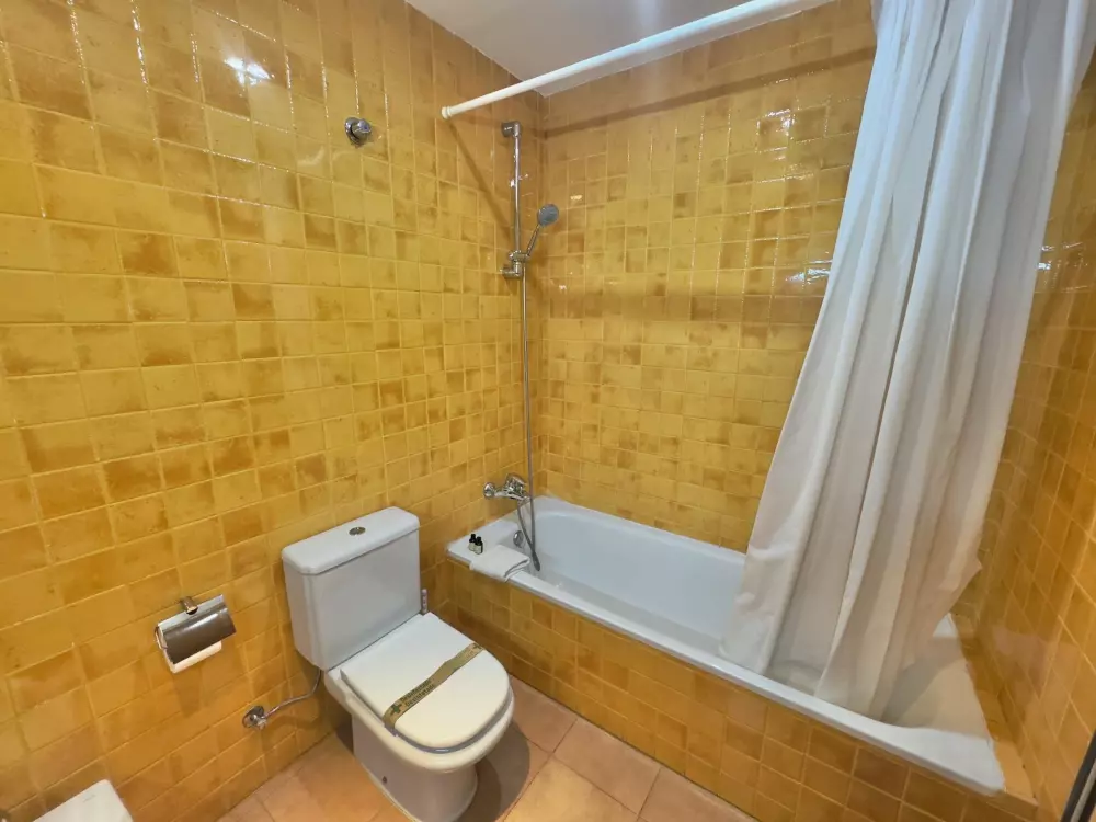 Location de Vacances Roses 383