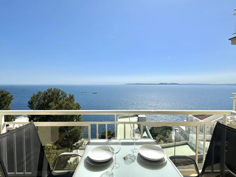 Location de Vacances Roses 385