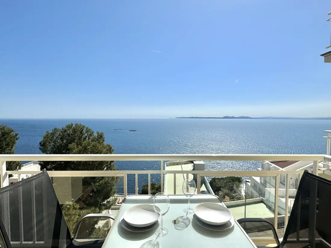 Location de Vacances Roses 385