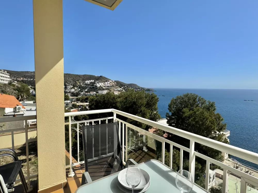 Location de Vacances Roses 385