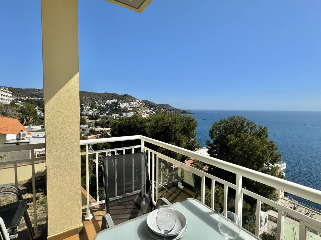 Location de Vacances Roses 385