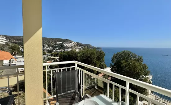 Location de Vacances Roses 385
