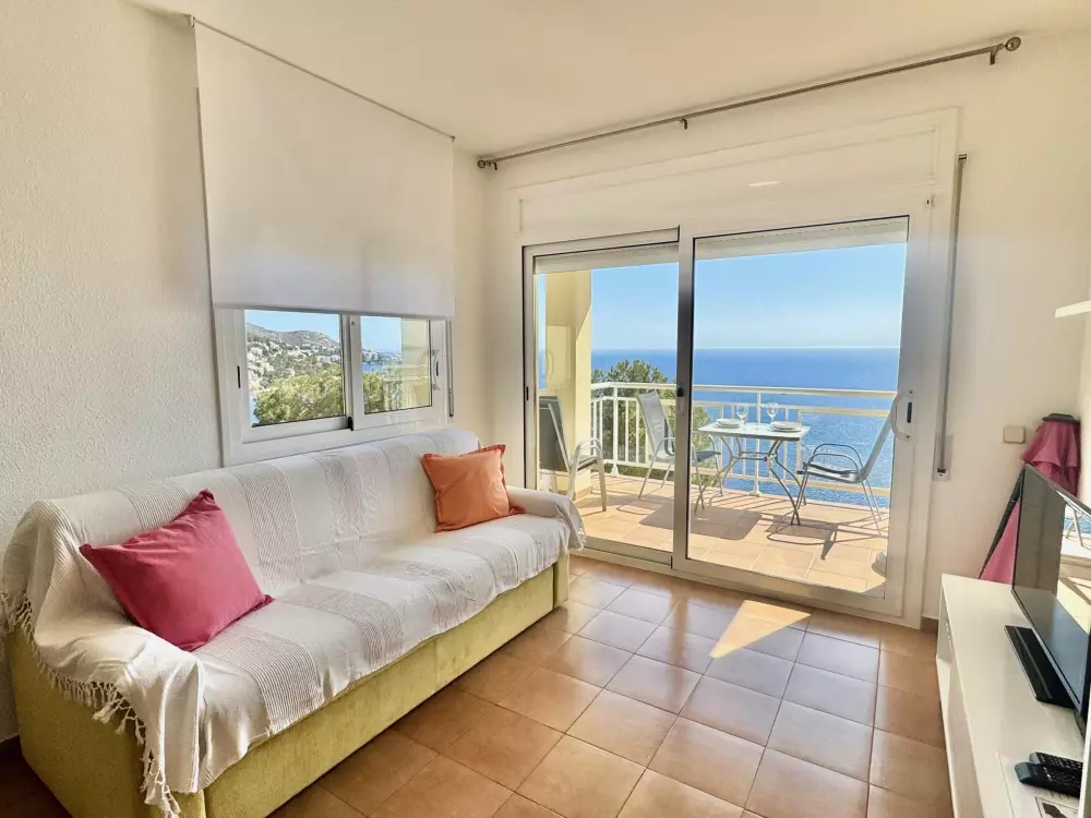 Location de Vacances Roses 385