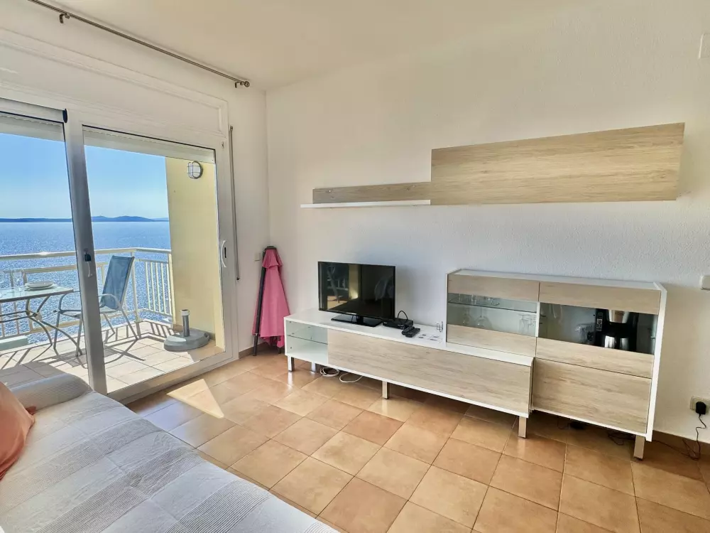 Location de Vacances Roses 385