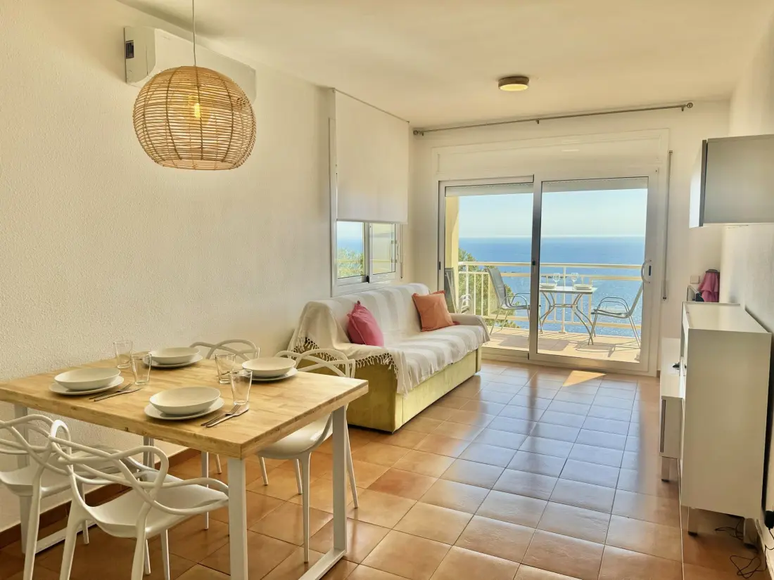 Location de Vacances Roses 385