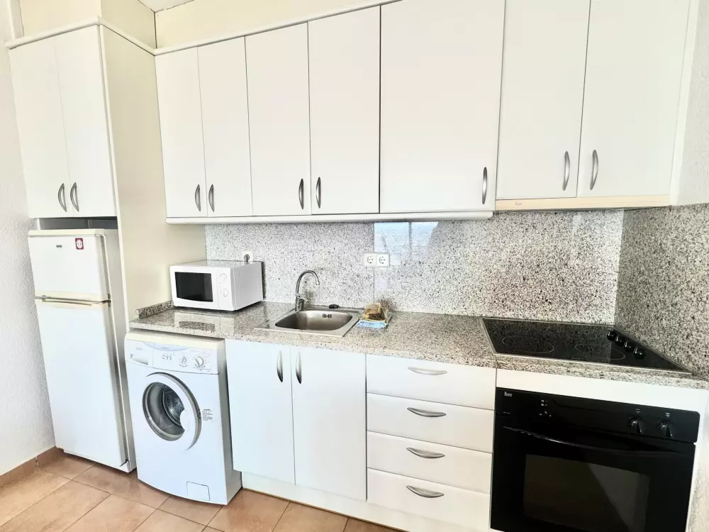 Location de Vacances Roses 385