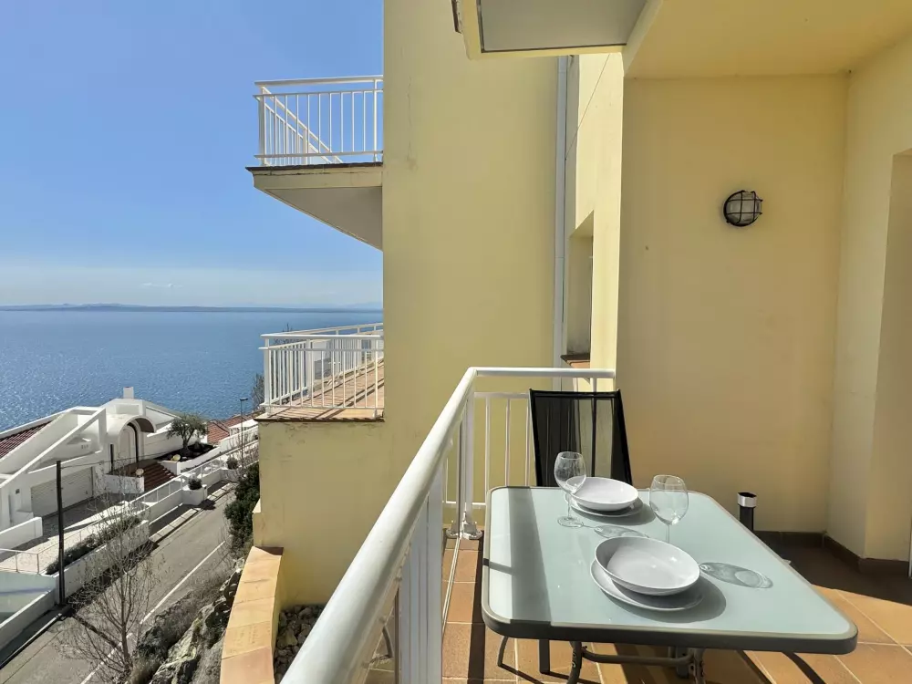 Location de Vacances Roses 385