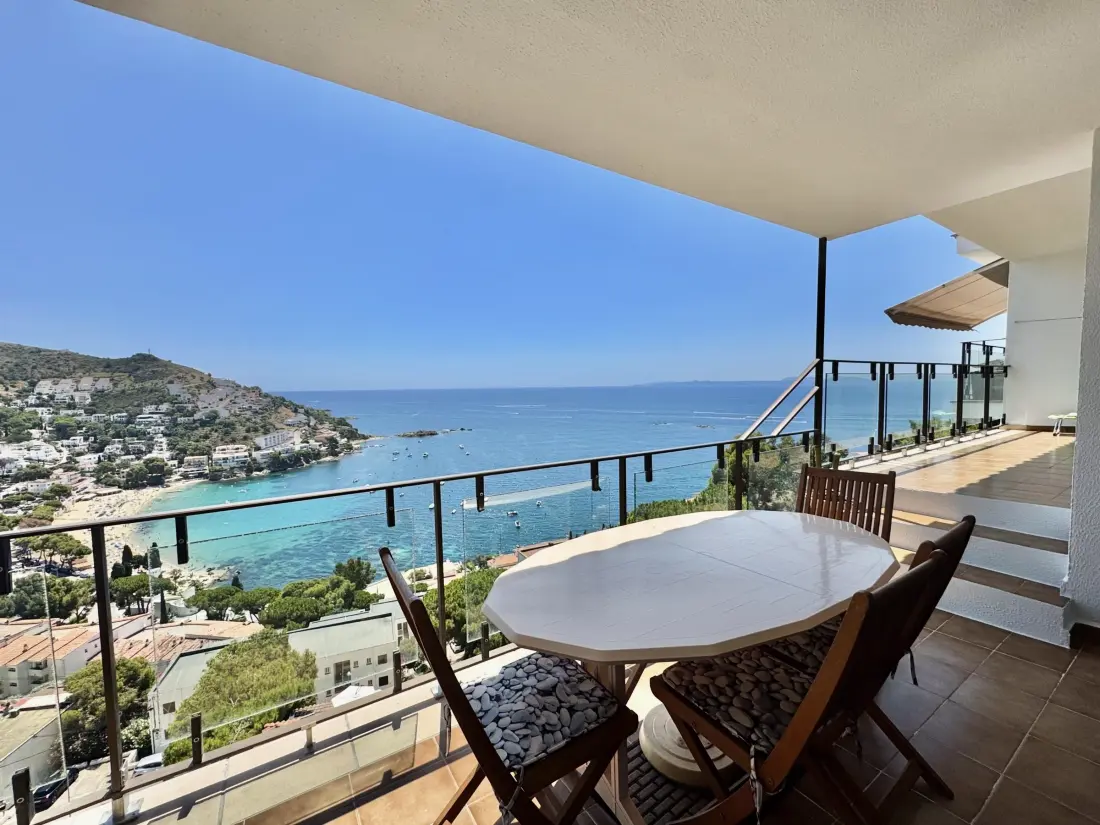 Location de Vacances Roses 386