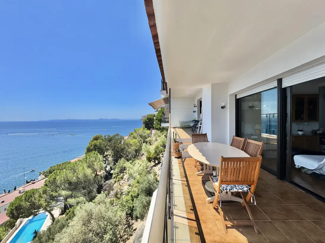 Location de Vacances Roses 386