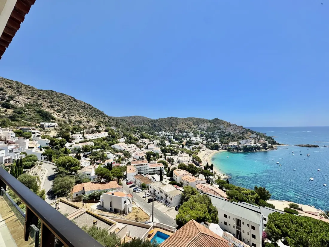 Location de Vacances Roses 386