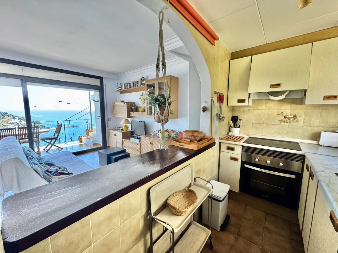 Location de Vacances Roses 386