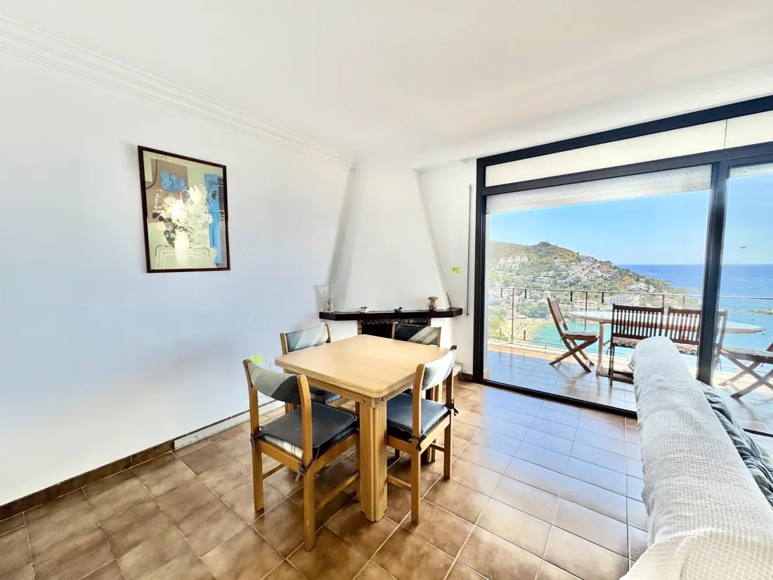 Location de Vacances Roses 386