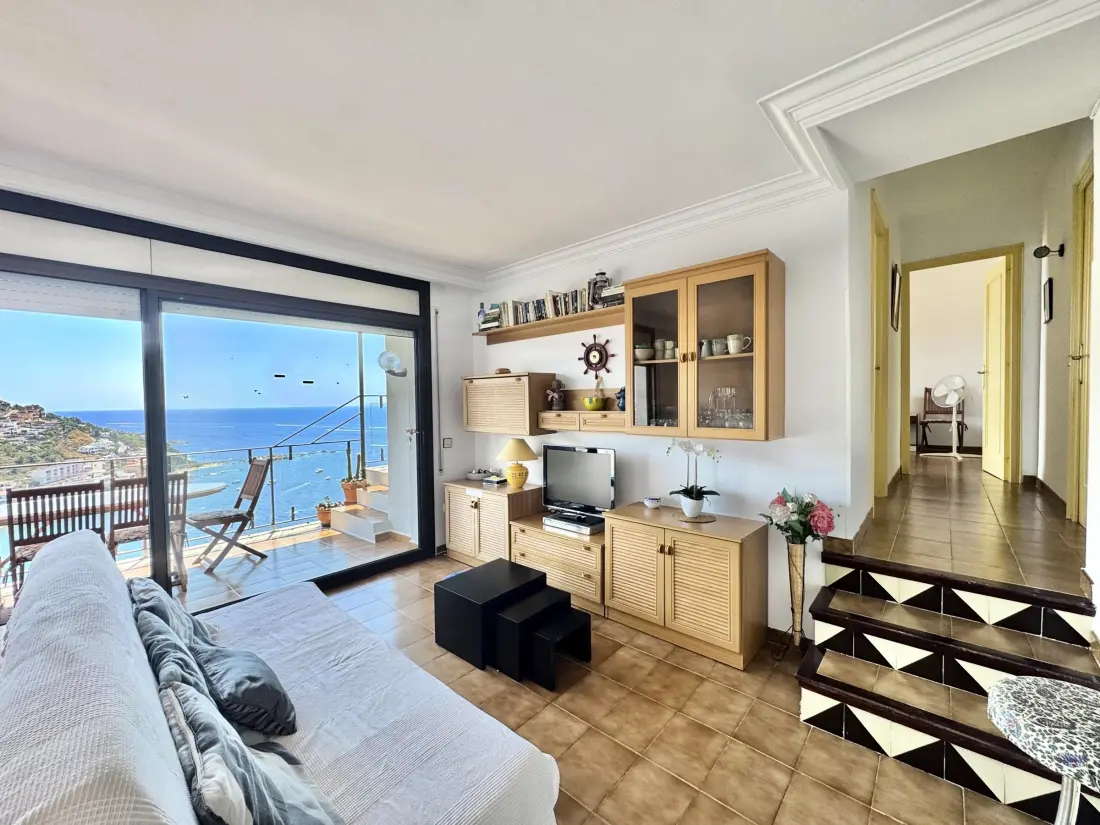Location de Vacances Roses 386