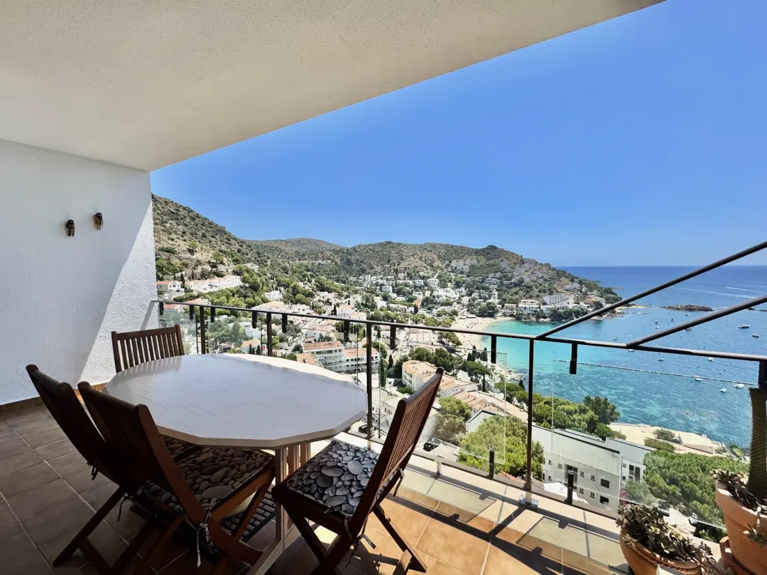 Location de Vacances Roses 386