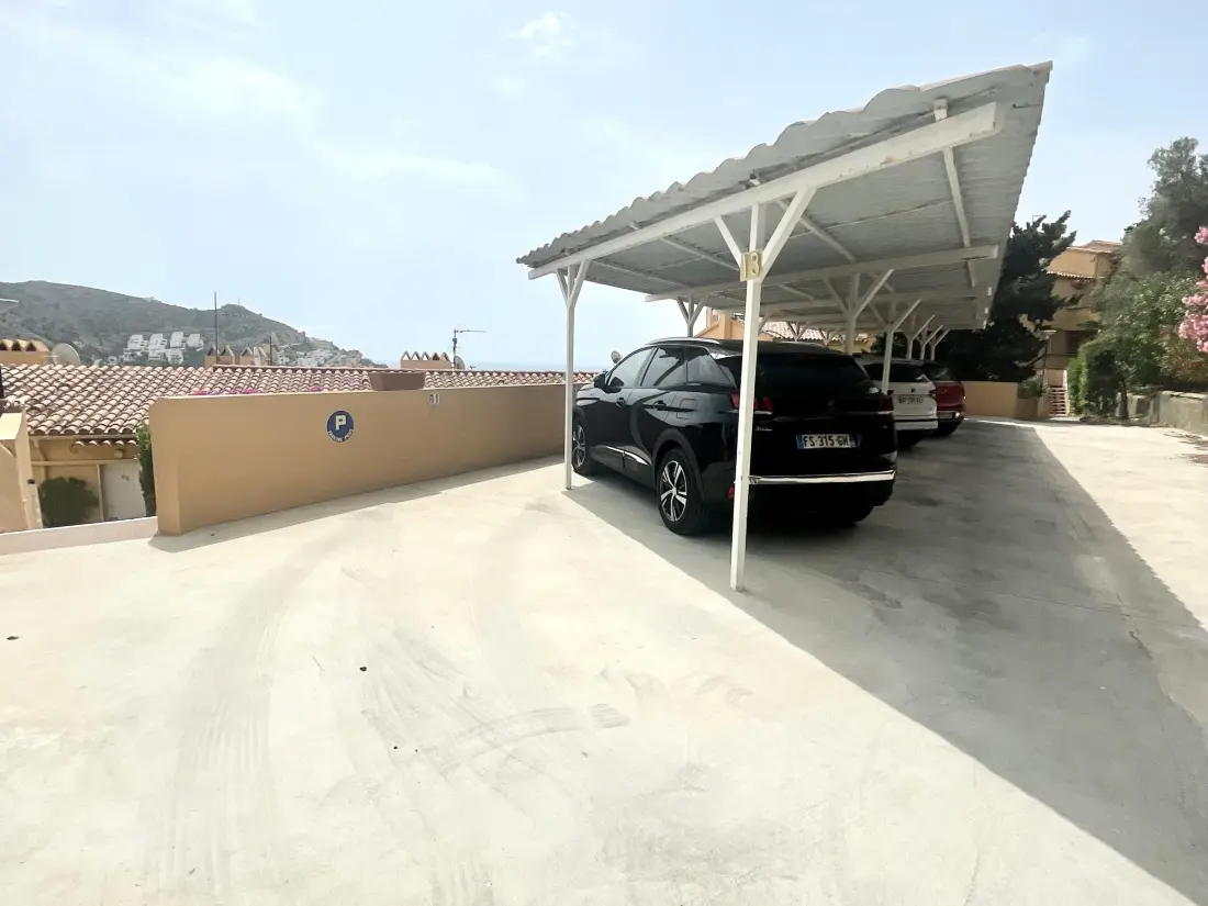 Location de Vacances Roses 386