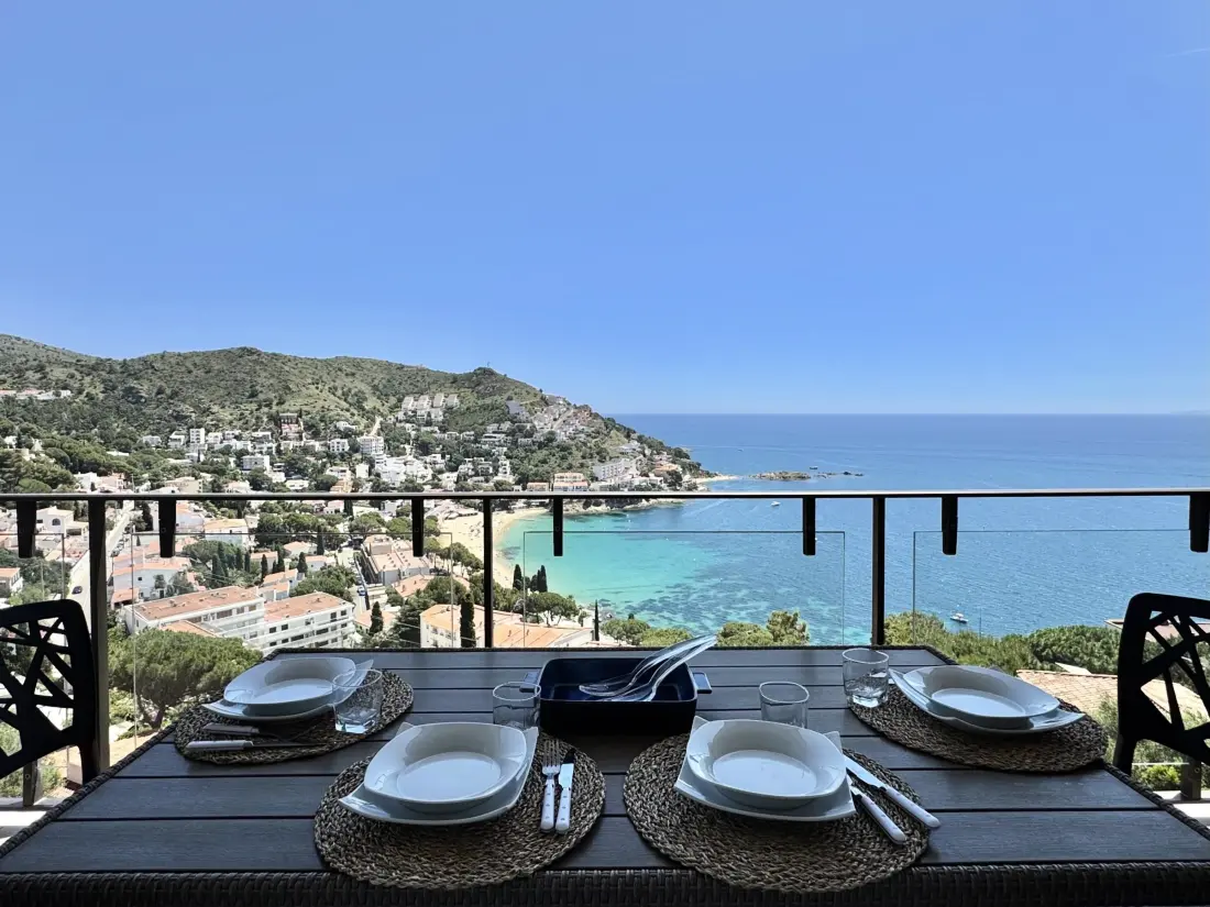 Location de Vacances Roses 387