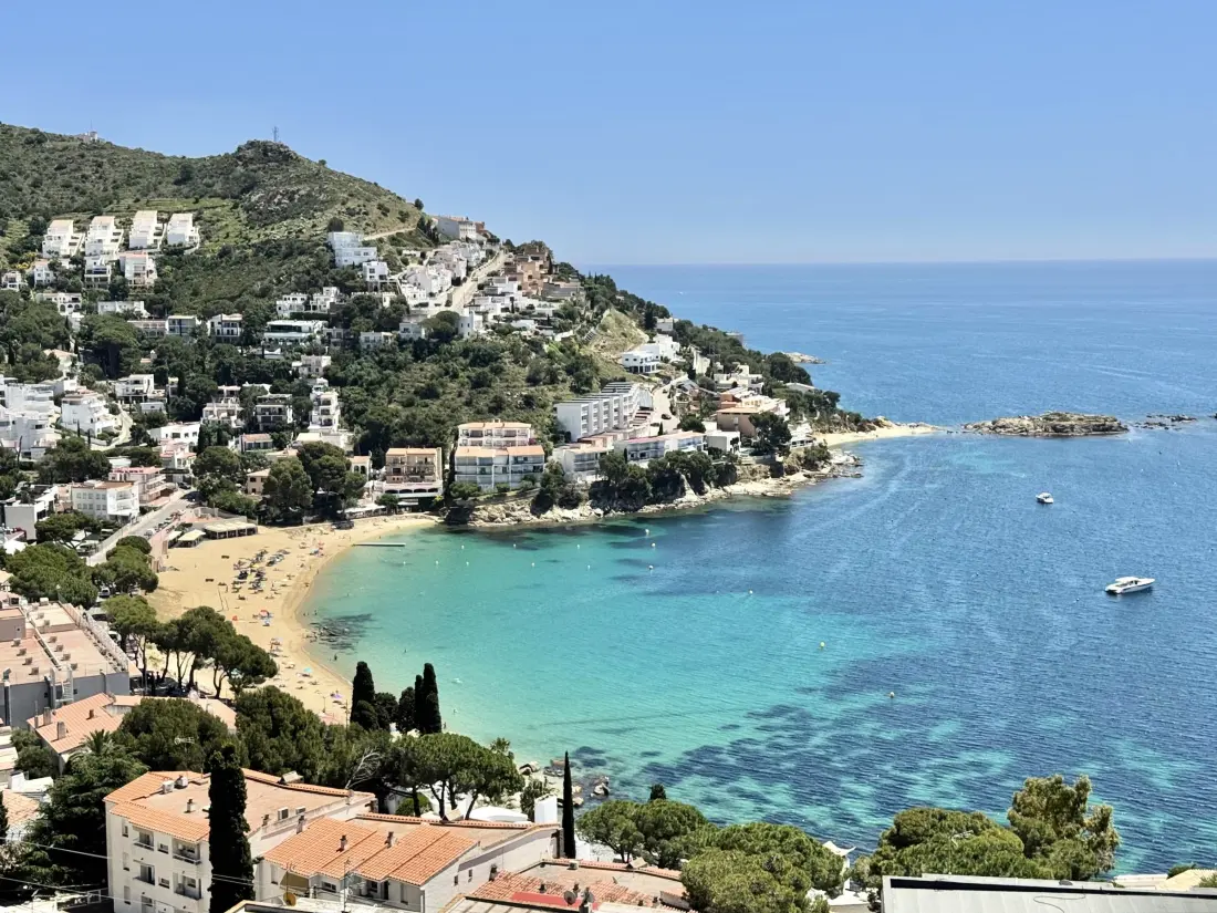 Location de Vacances Roses 387