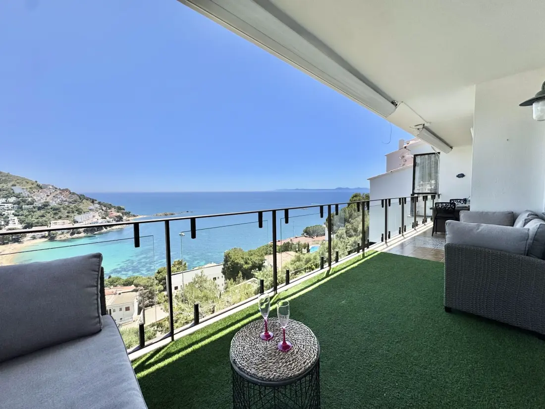 Location de Vacances Roses 387