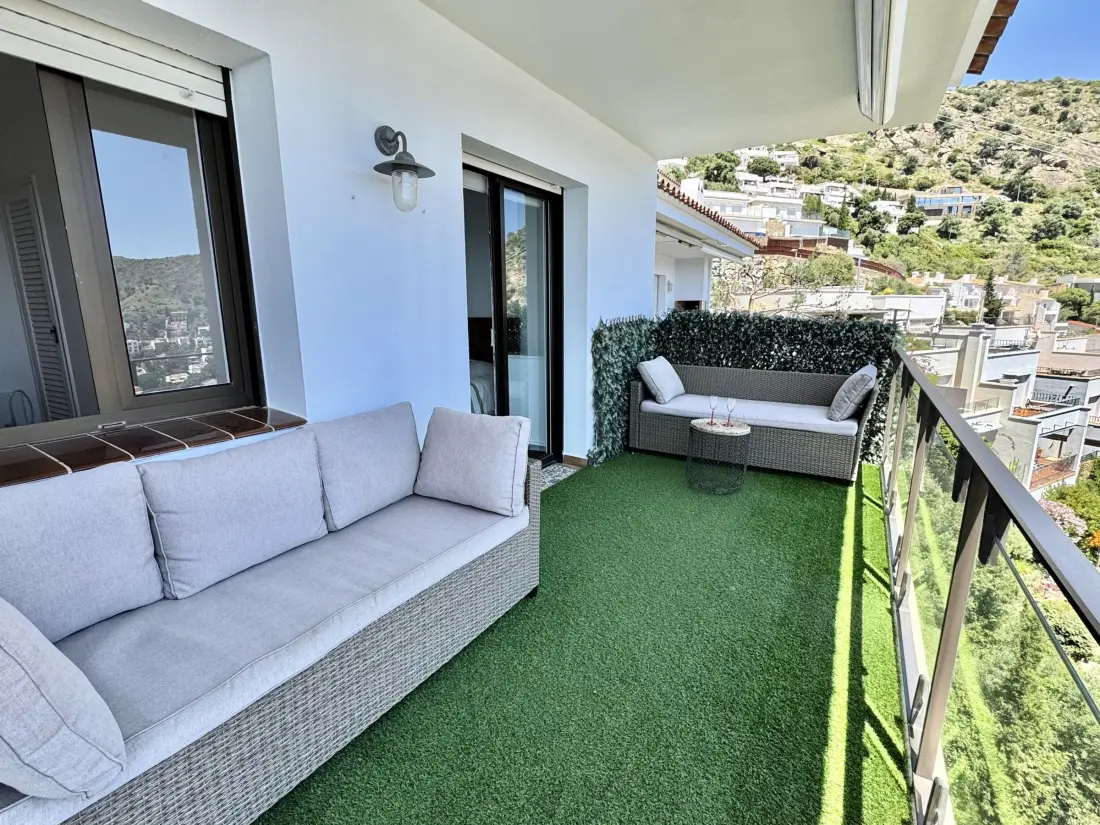 Location de Vacances Roses 387
