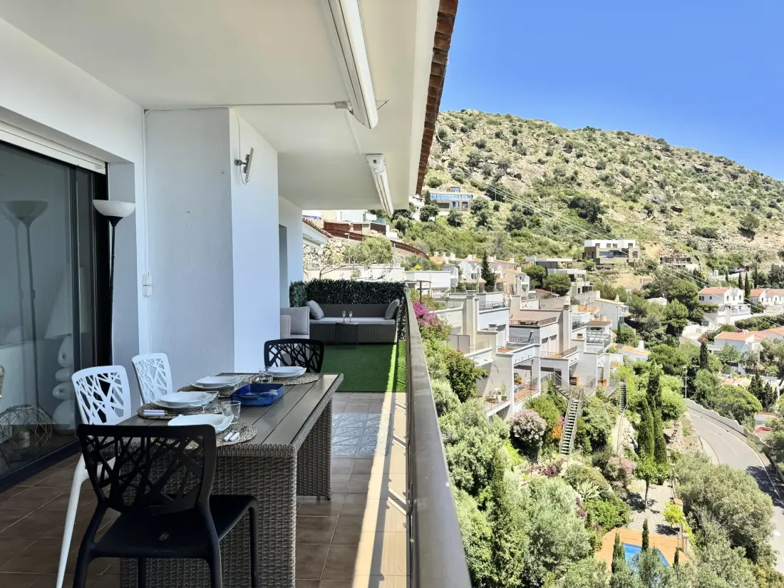 Location de Vacances Roses 387