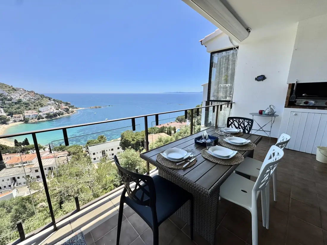 Location de Vacances Roses 387