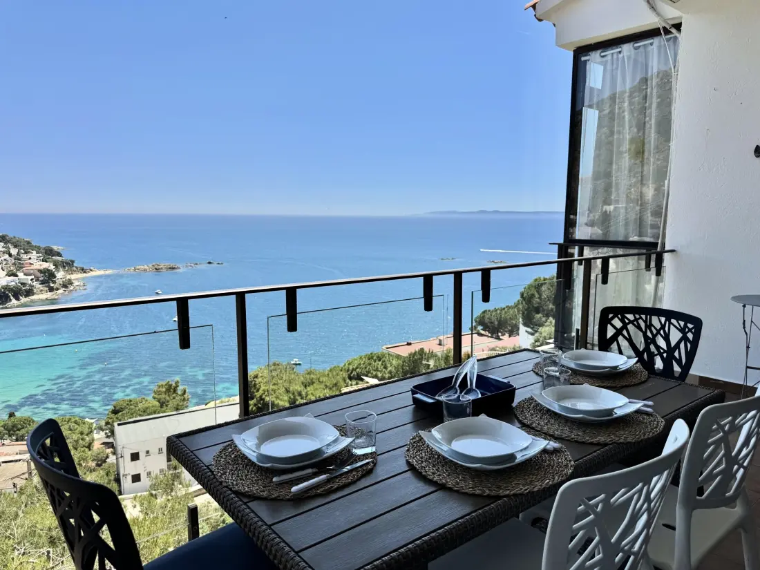 Location de Vacances Roses 387