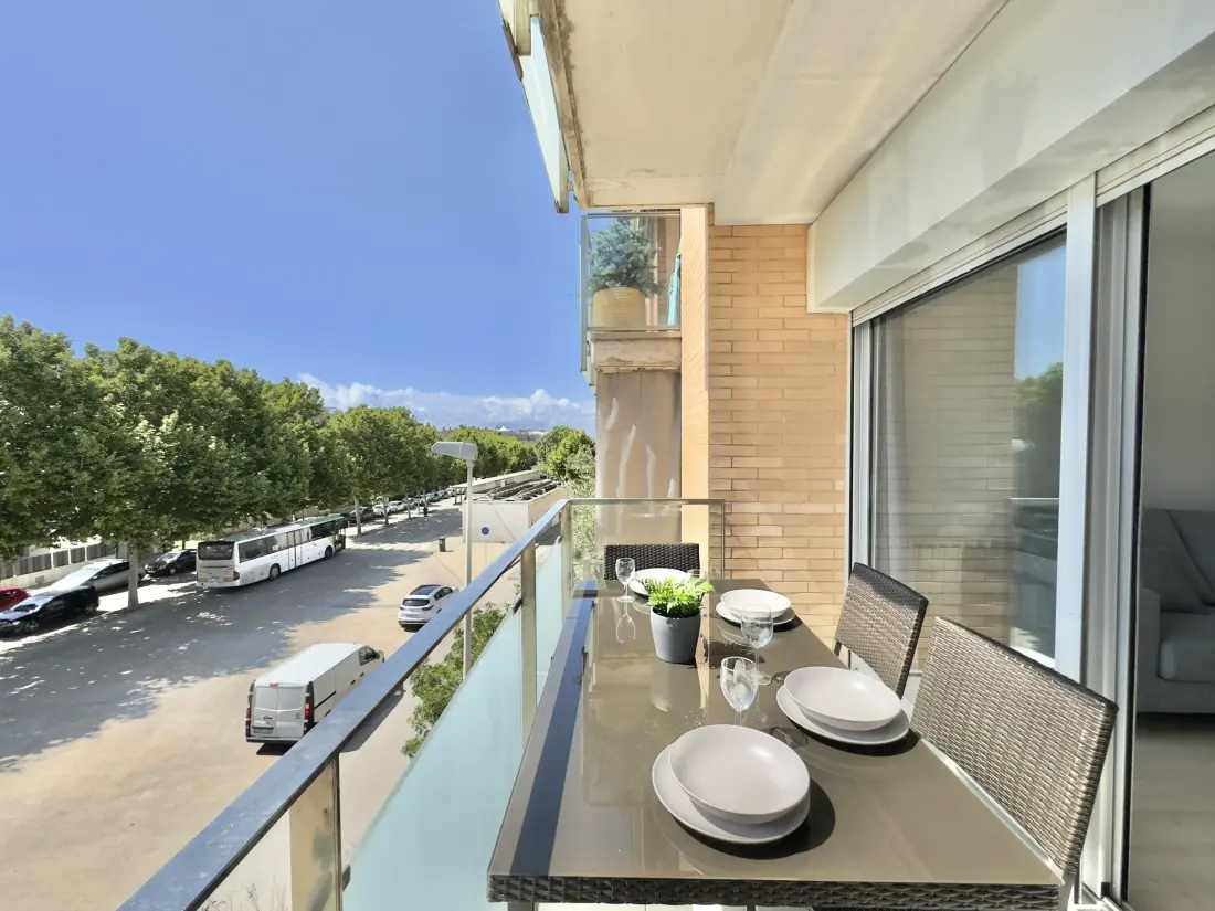 Location de Vacances Roses 389