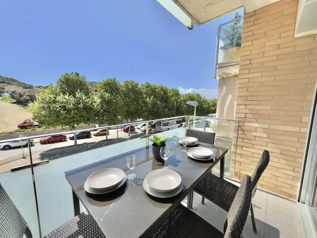 Location de Vacances Roses 389