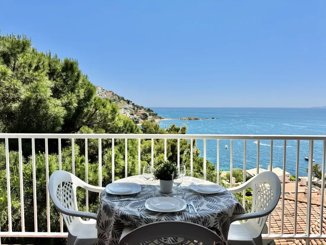 Location de Vacances Roses 391