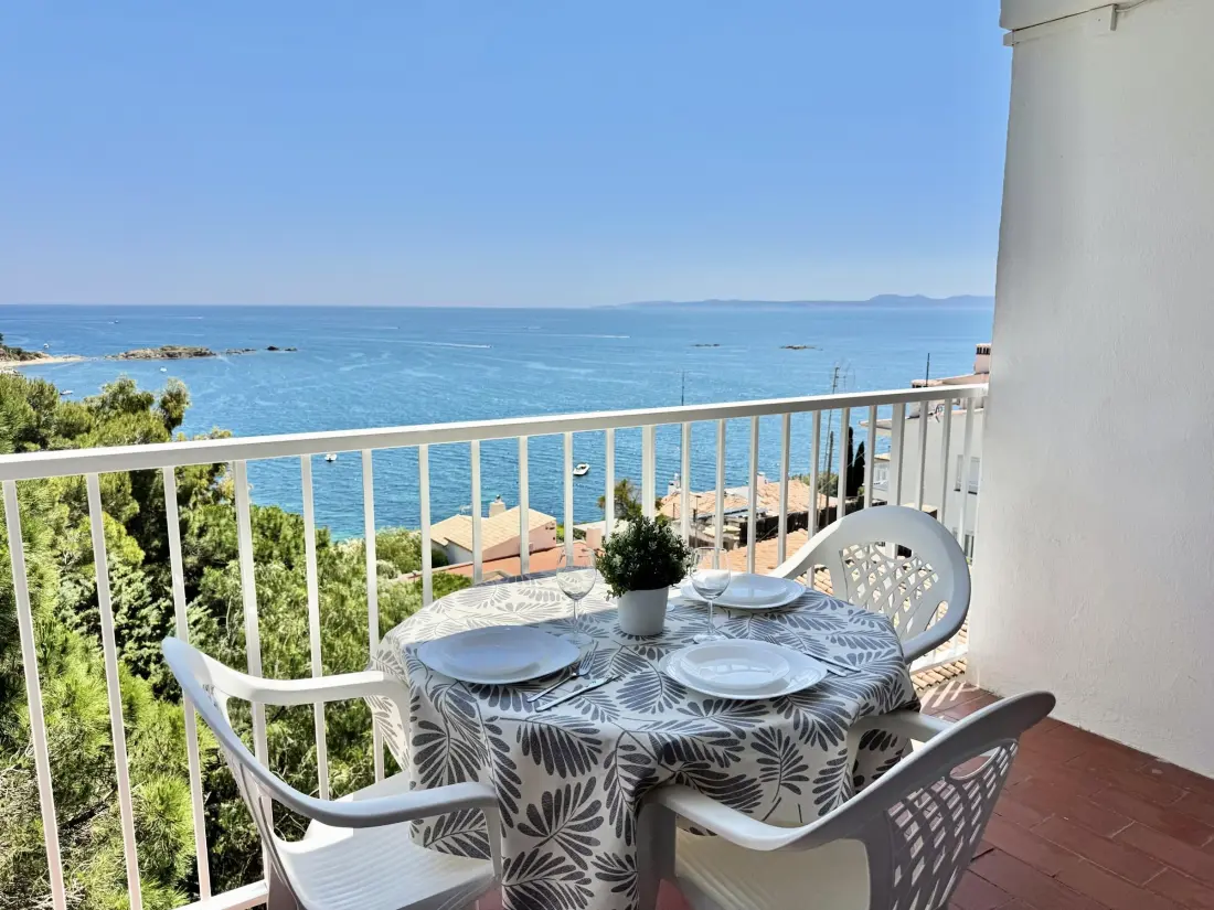Location de Vacances Roses 391