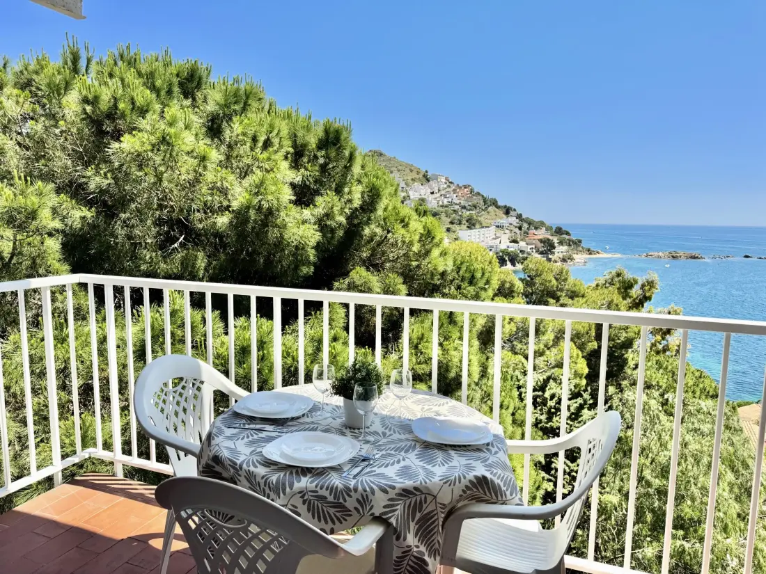 Location de Vacances Roses 391