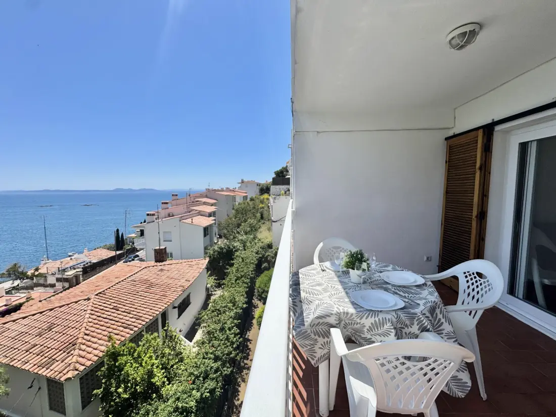 Location de Vacances Roses 391