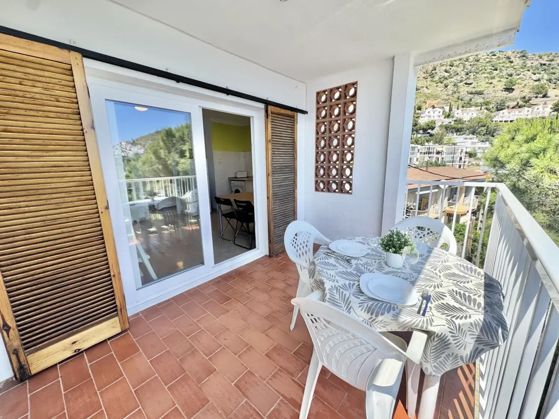 Location de Vacances Roses 391