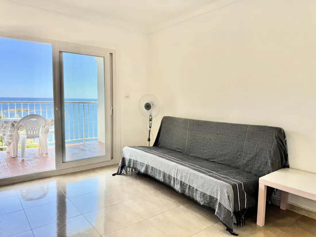 Location de Vacances Roses 391