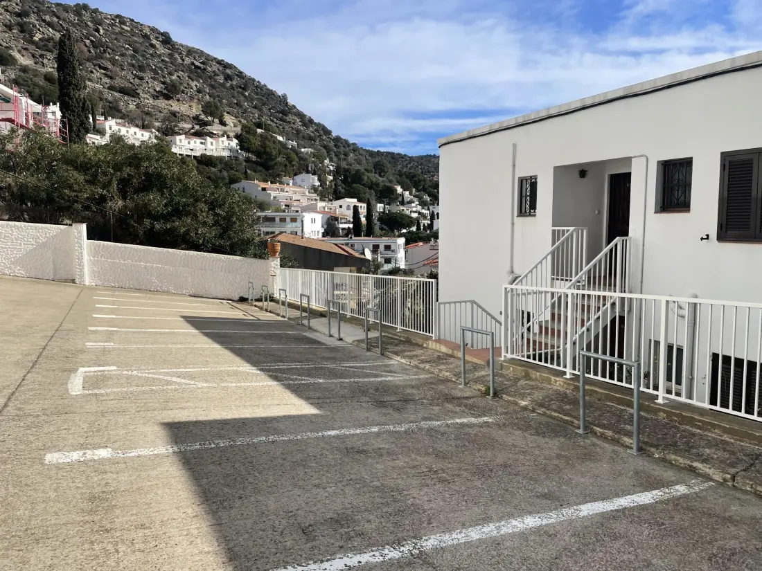 Location de Vacances Roses 391