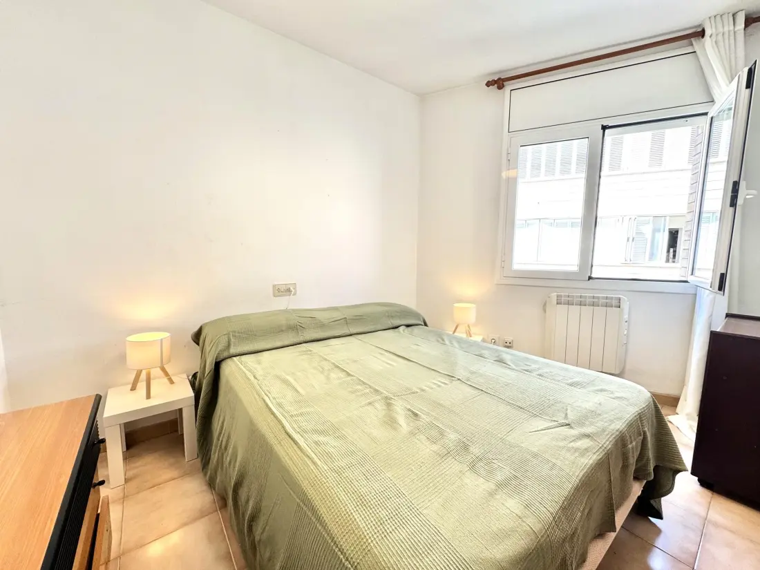 Location de Vacances Roses 393
