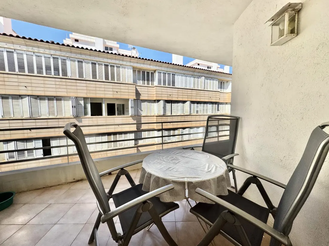 Location de Vacances Roses 393
