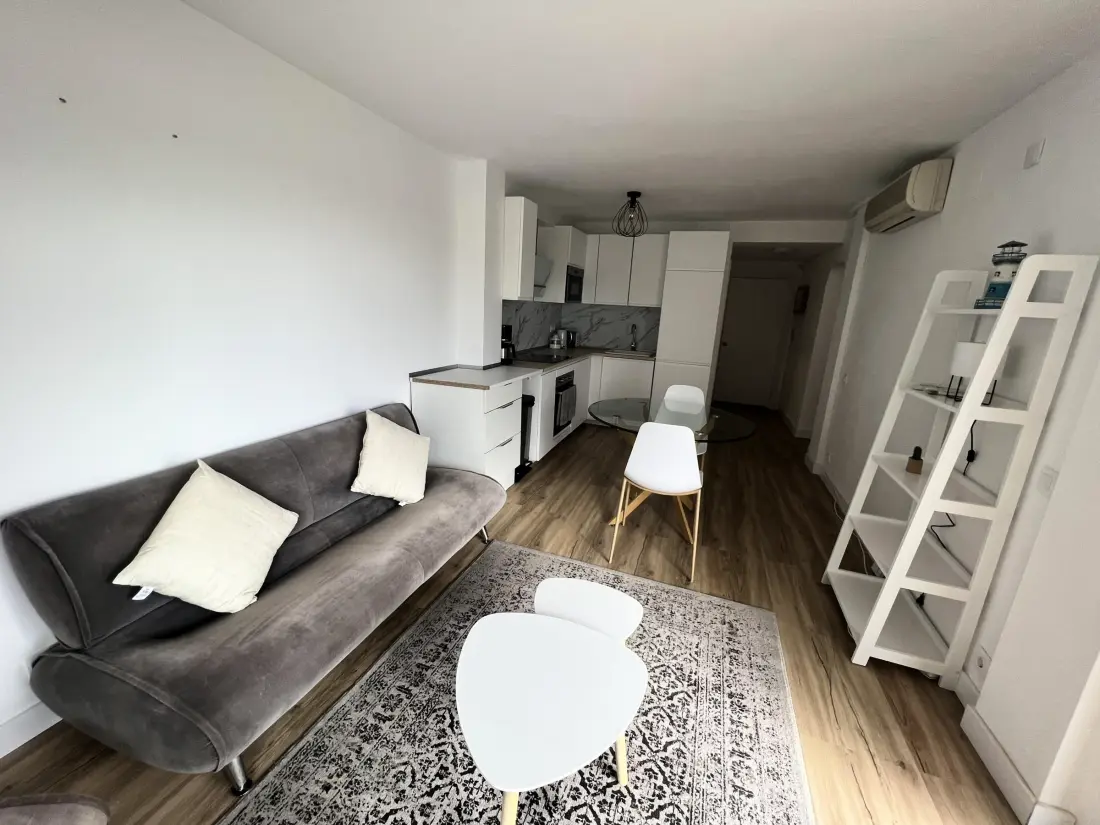 Location de Vacances Roses 396