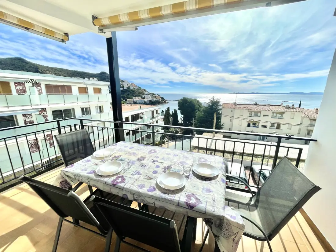 Location de Vacances Roses 397