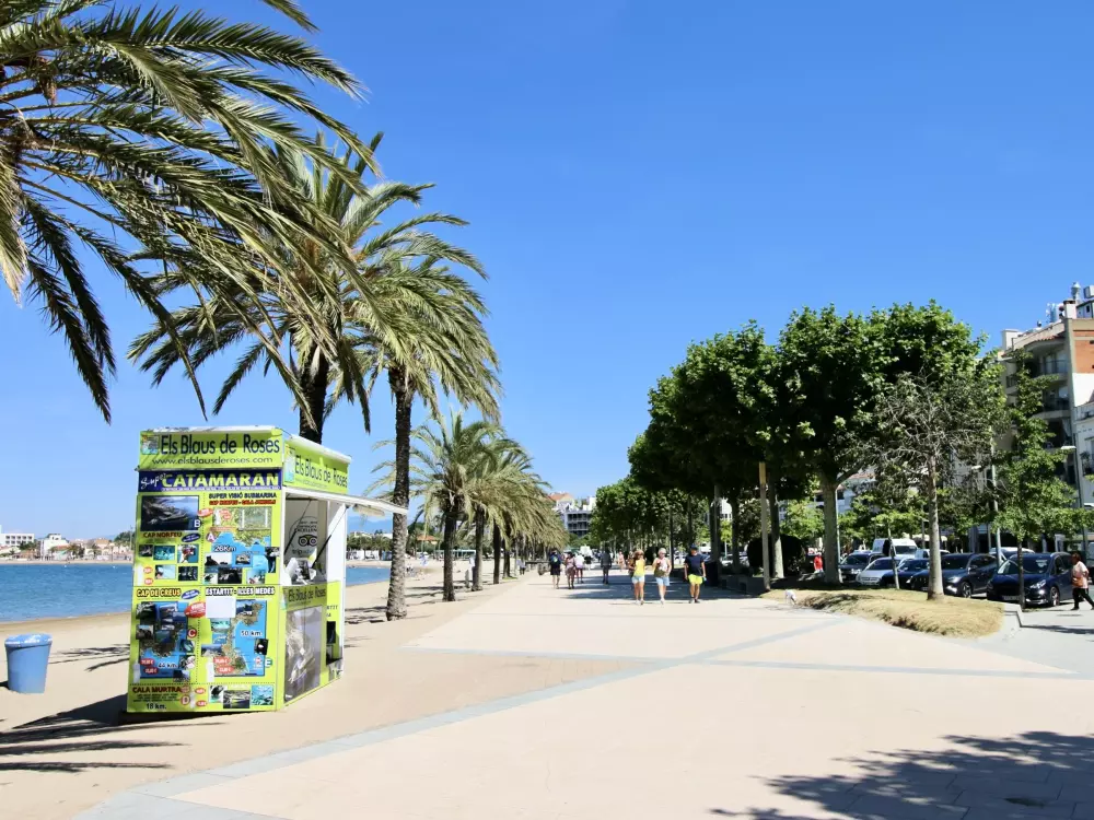 Location de Vacances Roses 398